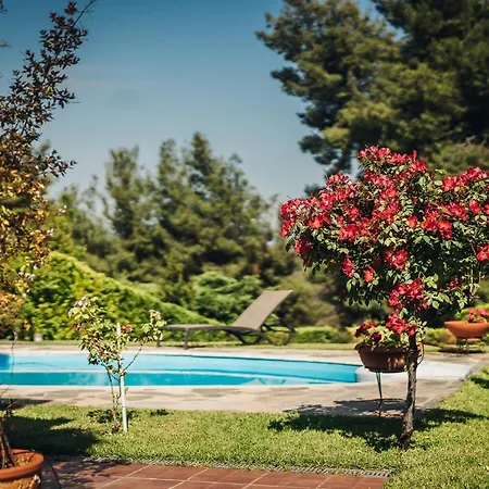Private Pool