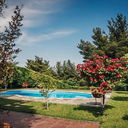 Private Pool Vila Paliouri